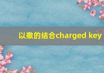 以撒的结合charged key